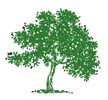 family tree